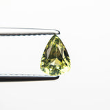 0.90ct 6.66x4.97x3.73mm Trillion Brilliant Sapphire 19115-25