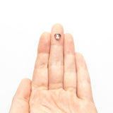 0.97ct 6.44x7.08x2.66mm Shield Rosecut 19606-10