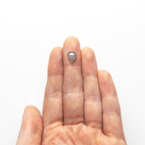 1.66ct 8.86x7.98x3.44mm Shield Rosecut 19617-23