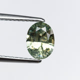 1.17ct 7.41x5.58x3.56mm Oval Brilliant Sapphire 19938-06