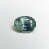 1.33ct 7.51x5.54x3.96mm Oval Brilliant Sapphire 19938-08