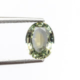 1.29ct 7.90x6.06x3.13mm Oval Brilliant Sapphire 19943-10