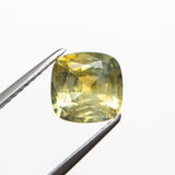 2.20ct 7.45x7.43x4.73mm Cushion Brilliant Sapphire 19960-01