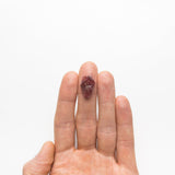 10.66ct 18.63x13.09x3.13mm Coffin Slab Sapphire 20052-11