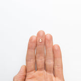 1.04ct 6.81x6.80x2.67mm Round Rosecut Sapphire 20114-01