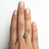 2.59ct 8.18x6.81x5.64mm Oval Brilliant Sapphire 20697-01