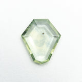 1.08ct 9.00x8.03x1.67mm Geometric Portrait Cut Sapphire 20878-01