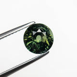 1.80ct 7.34x7.28x4.55mm Round Brilliant Sapphire 20959-07