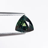 0.98ct 6.07x6.45x3.58mm Trillion Brilliant Cut Sapphire 20994-17