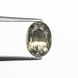 1.70ct 7.59x5.58x4.79mm Oval Brilliant Sapphire 21566-01