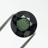 4.80ct 10.34x10.29x5.64mm Round Brilliant Sapphire 21607-03