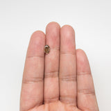 1.32ct 8.00x5.53x3.77mm GIA VS1 Fancy Deep Brown-Yellow Oval Brilliant 21919-01