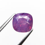 2.67ct 7.52x7.24x5.19mm Cushion Brilliant Sapphire 22053-01