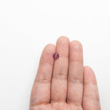 0.95ct 6.55x6.51x2.85mm Round Rosecut Sapphire 22124-02
