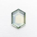 1.22ct 9.71x6.89x1.43mm Hexagon Portrait Cut Sapphire 22140-01