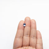 1.35ct 7.31x5.65x3.98mm Oval Brilliant Sapphire 22186-01