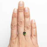 1.68ct 7.71x6.03x3.99mm Oval Brilliant Sapphire 22291-19