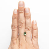 1.59ct 7.30x5.71x4.21mm Oval Brilliant Sapphire 22291-21