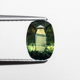 1.70ct 7.92x5.62x3.96mm Cushion Brilliant Sapphire 22299-06