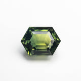 1.95ct 7.99x5.76x4.35mm Hexagon Step Cut Sapphire 22312-06
