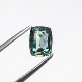 1.14ct 6.82x5.21x3.29mm Cushion Brilliant Sapphire 22431-01