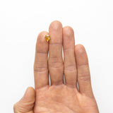 1.55ct 8.42x7.48x3.10mm Shield Rosecut Sapphire 22434-109