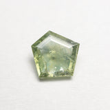 1.13ct 8.02x7.56x2.53mm Pentagon Double Cut Sapphire 22434-76