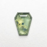 1.13ct 7.92x6.30x2.00mm Coffin Portrait Cut Sapphire 22434-81