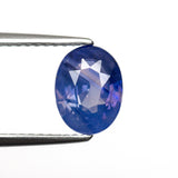 1.63ct 8.07x6.09x3.96mm Oval Brilliant Sapphire 22524-01