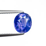2.04ct 7.45x6.50x4.93mm Oval Brilliant Sapphire 22592-01