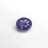 1.56ct 7.15x5.96x4.10mm Oval Brilliant Sapphire 22602-01