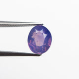 1.56ct 7.15x5.96x4.10mm Oval Brilliant Sapphire 22602-01