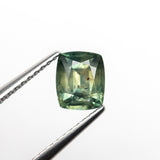 0.95ct 6.14x5.12x3.29mm Cushion Brilliant Sapphire 22676-01