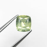 1.32ct 6.60x6.07x3.74mm Cushion Brilliant Sapphire 22682-06