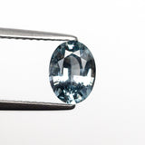 1.19ct 7.38x5.47x3.51mm Oval Brilliant Sapphire 22684-06