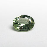 1.08ct 7.39x5.55x3.24mm Oval Brilliant Sapphire 22691-06