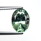 2.52ct 8.93x6.80x5.15mm Oval Brilliant Sapphire 22691-15