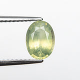 1.56ct 7.97x5.90x4.09mm Oval Brilliant Sapphire 22697-01