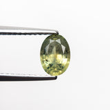 0.87ct 6.95x5.03x3.03mm Oval Brilliant Sapphire 22699-01