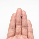 1.14ct 5.78x4.64x4.44mm Cushion Brilliant Cut Sapphire 22963-01