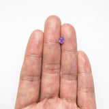 0.73ct 6.09x4.73x2.68mm Oval Brilliant Cut Sapphire 22966-01