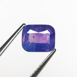 D10246 - 1.57ct 7.31x6.02x3.33mm Cushion Brilliant Sapphire 22987-01