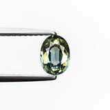 0.82ct 6.48x4.84x2.79mm Oval Brilliant Sapphire 23022-01
