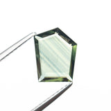 1.54ct 9.16x6.01x1.93mm Pentagon Portrait Cut Sapphire 23433-39