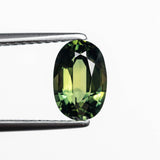 1.73ct 8.48x5.68x4.01mm Oval Brilliant Sapphire 23438-08