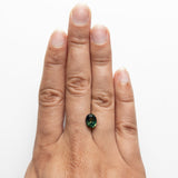 2.65ct 8.48x6.57x5.46mm Oval Brilliant Sapphire 23439-01