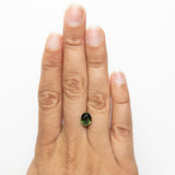 2.63ct 8.43x6.60x5.10mm Oval Brilliant Sapphire 23439-05