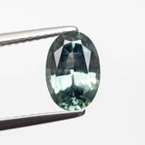 1.59ct 8.52x5.77x3.82mm Oval Brilliant Sapphire 23447-01