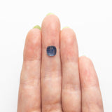 1.98ct 7.26x7.01x3.24mm Cushion Portrait Cut Sapphire 24197-02