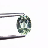 1.03ct 6.92x5.09x3.37mm Oval Brilliant Sapphire 26162-08
